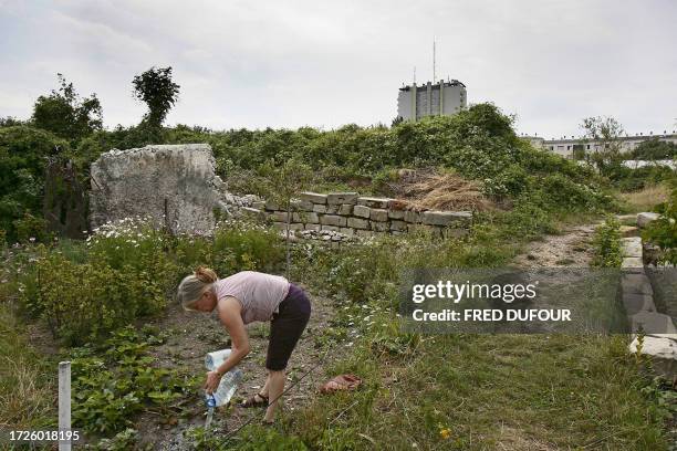 Un personne arrose ses plantations, le 30 juillet 2006 dans un des jardins de Montreuil où l'on cultive des pêchers à proximité d'un mur afin d'en...