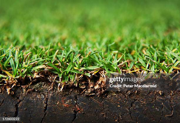 Close up photograph shows the grass on Centre Court at the Wimbledon Lawn Tennis Championships on July 2, 2013 in London, England.