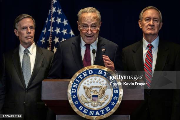 Senate Majority Leader Sen. Chuck Schumer speaks at a news conference with U.S. Ambassador to China Nicholas Burns and Sen. Mike Crapo on October 9,...