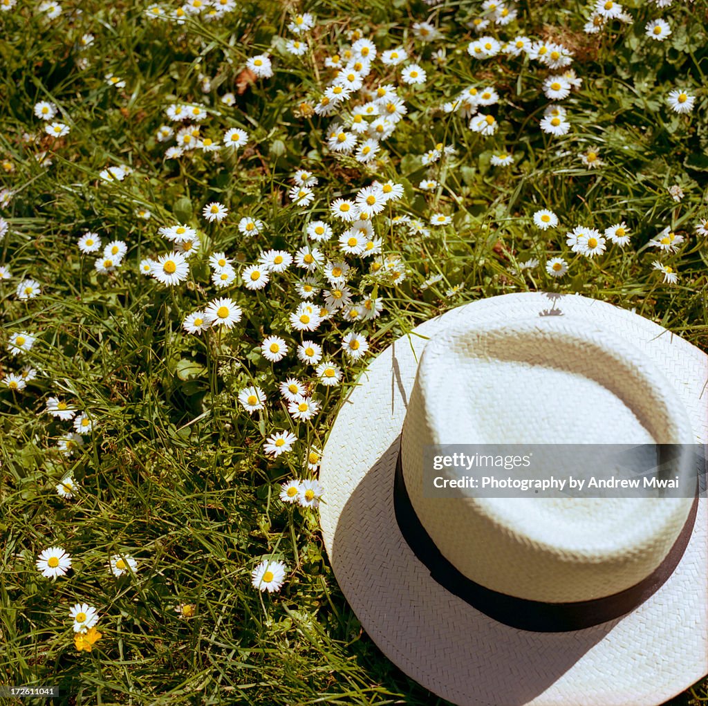 Panama Hat