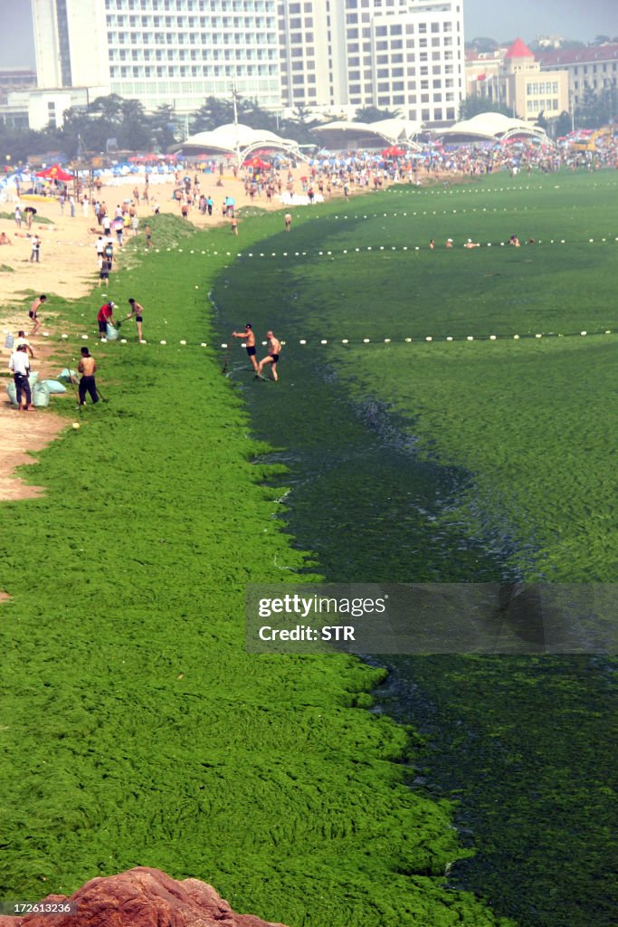 CHINA-ENVIRONMENT-OCEANOGRAPHY-ALGAE