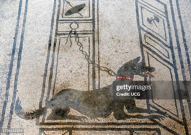 Pompeii Archaeological Site, Campania, Italy. Mosaic of dog guarding door to the House of Paquius Proculus. Pompeii, Herculaneum, and Torre...