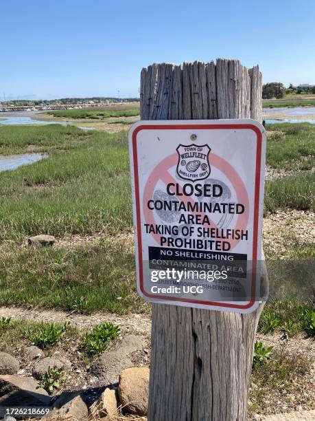 34 Indian Neck Beach Stock Photos, High-Res Pictures, and Images ...