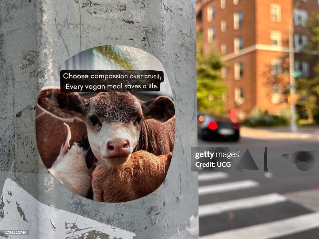 Social Awareness sticker, Choose compassion over cruelty, Every Vegan meal saves a life, Queens, New York