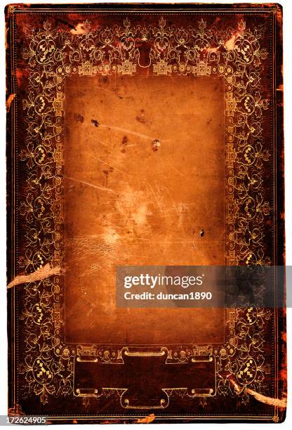 ilustraciones, imágenes clip art, dibujos animados e iconos de stock de marco de grunge - escriba