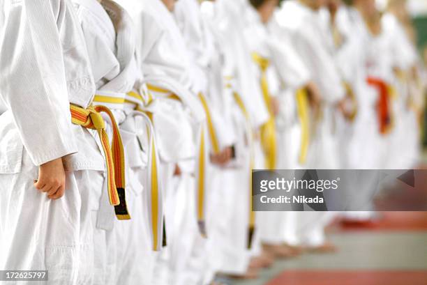 karate kids - martial arts stock pictures, royalty-free photos & images