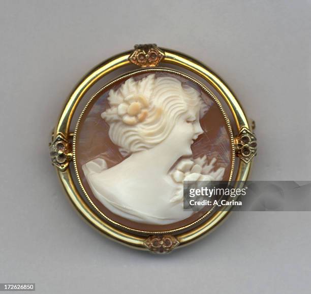 round cameo - vintage brooch stock pictures, royalty-free photos & images