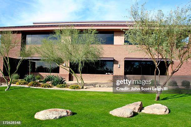 business building series - palo verde stock pictures, royalty-free photos & images