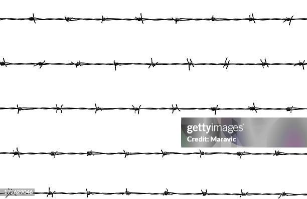 an illustration of a barb wire - barbed wire fencing stock pictures, royalty-free photos & images