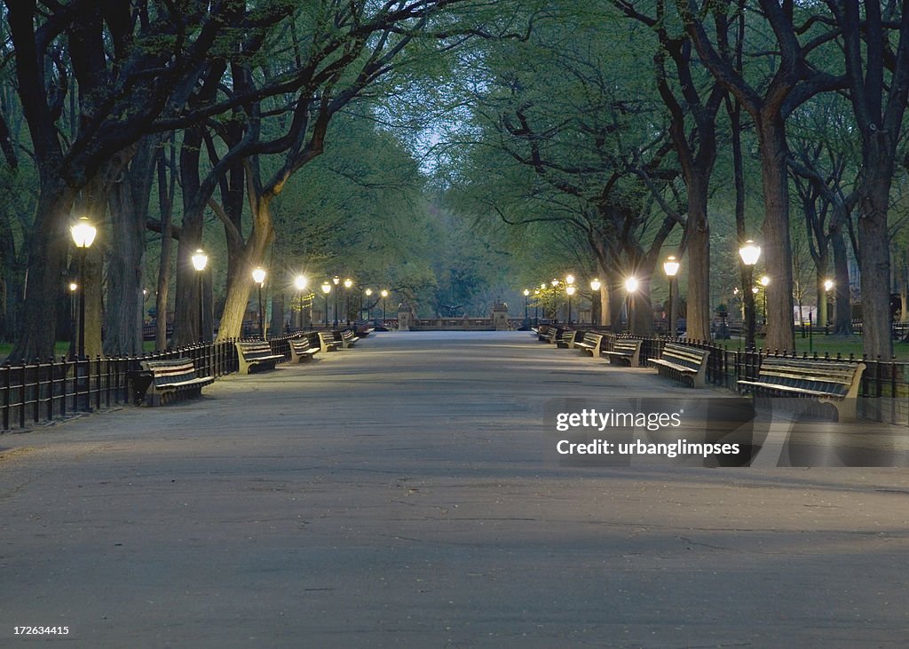 The Mall in Central Park