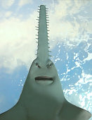 Underside of a Sawfish with Sunlight Shinning Down