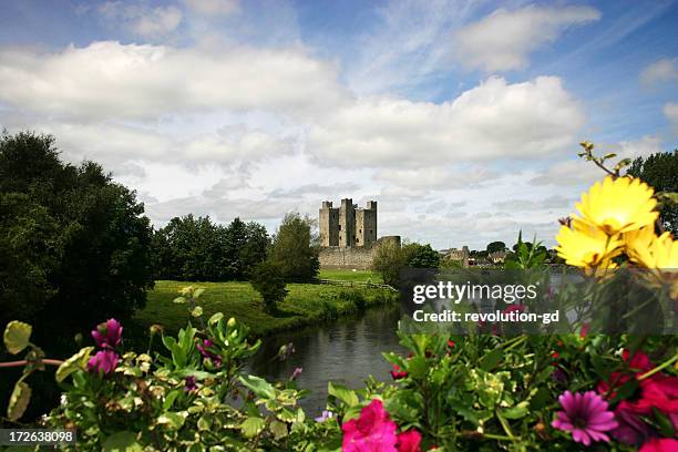 trim castle portrait - ireland castle stock pictures, royalty-free photos & images