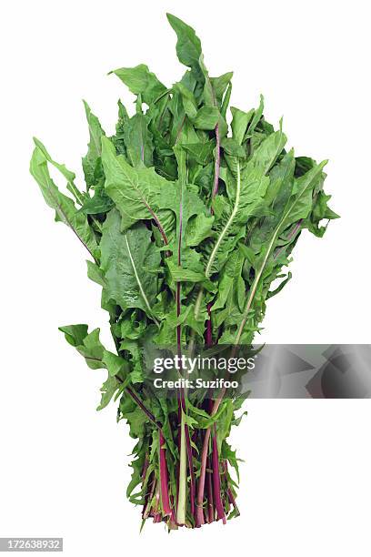 dandelion greens - dandelion leaf stock pictures, royalty-free photos & images