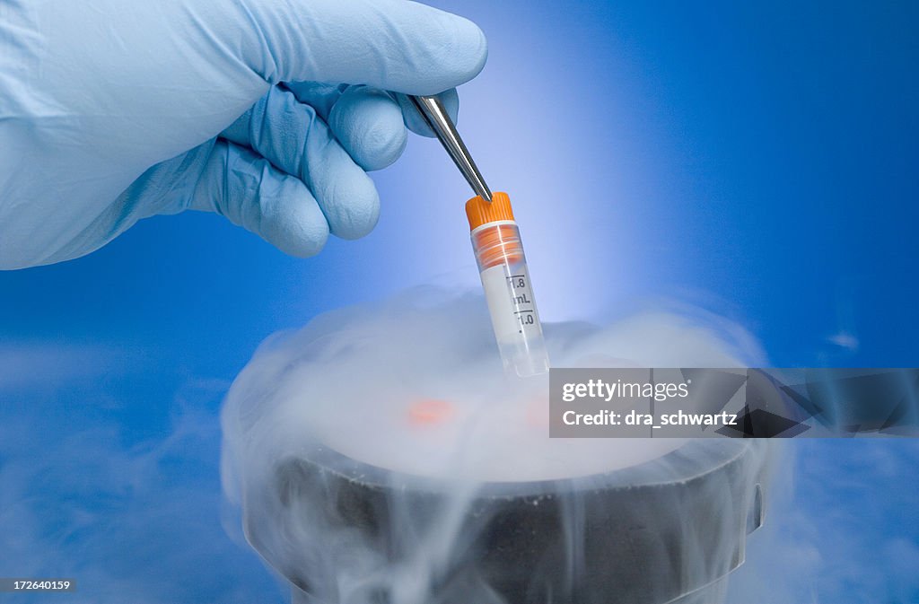 Cryopreservation
