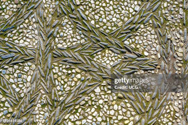 Alhambra, Spain, Pebbles forming decorative shapes in the exterior flooring of the palace and fortress complex.