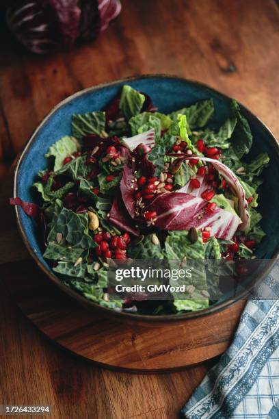 radicchio-grünkohlsalat mit granatapfel - endivie stock-fotos und bilder