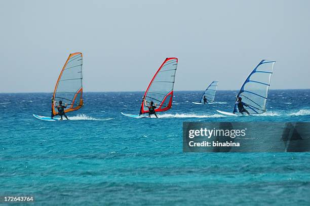 wind surf race - vindsurfing bildbanksfoton och bilder