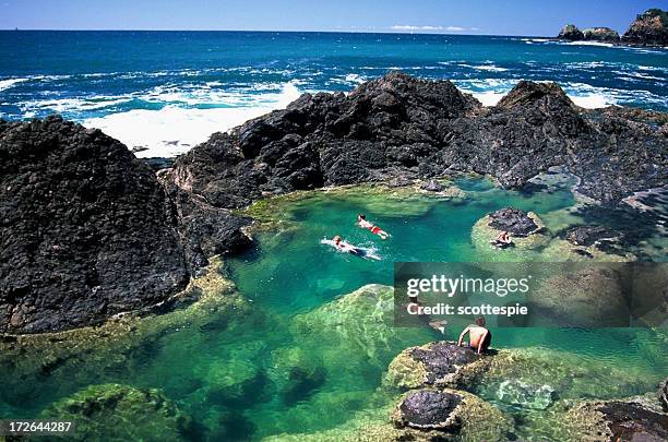 mermaid pools - northland new zealand stock pictures, royalty-free photos & images