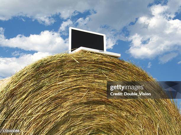 618 Middle Ranch Stock Photos, High-Res Pictures, and Images - Getty Images