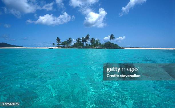 a caribbean beach island and tropical clear waters - saint vincent grenadines stock pictures, royalty-free photos & images