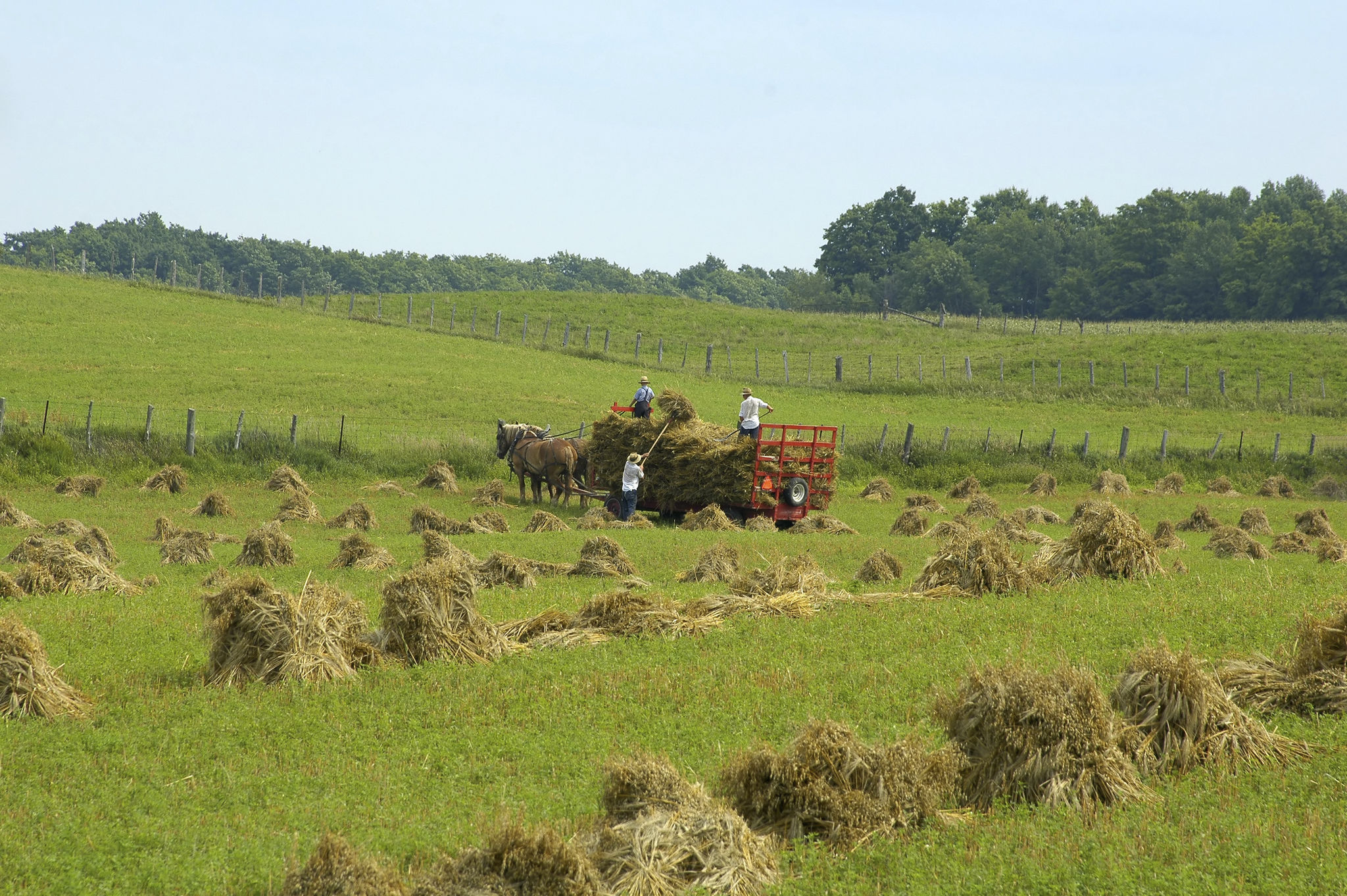 amish community