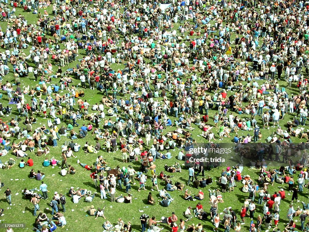 Grandes multitudes en el festival de hierba