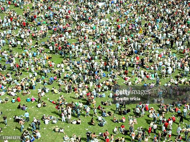 big festival crowd on grass - aerial park stockfoto's en -beelden