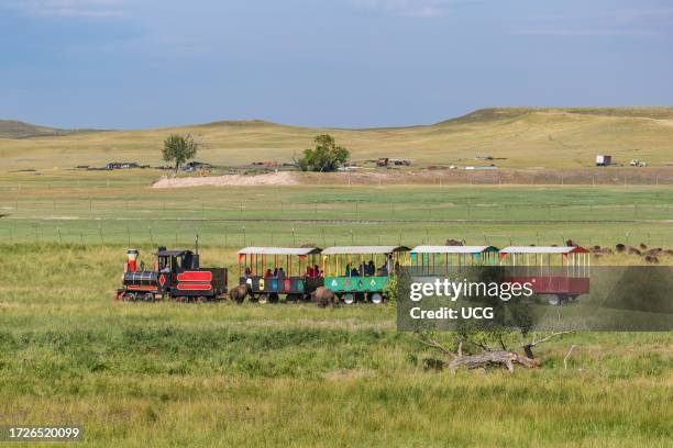 Terry Bison Ranch Train Ride 539 Bison Ranch Stock Photos, High-Res Pictures, and Images - Getty Images