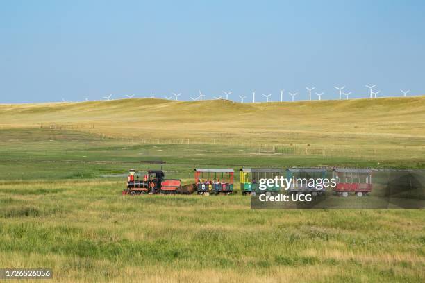 Terry Bison Ranch Train Ride 573 Bison Ranch Stock Photos, High-Res Pictures, and Images - Getty Images