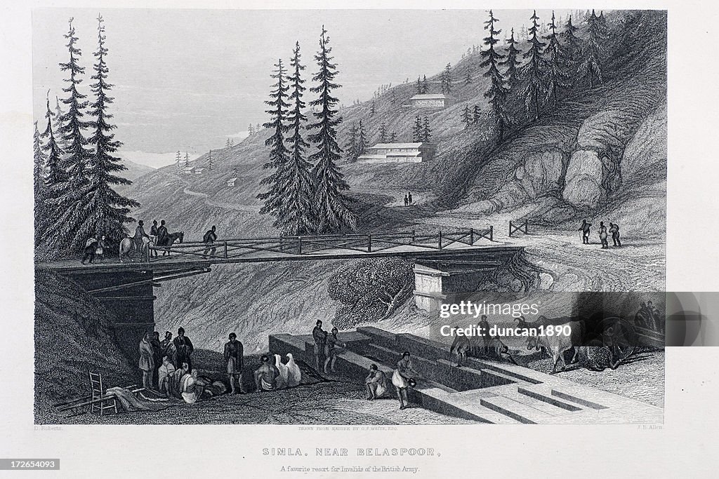 Simla Rabbit Simla High-Res Vector Graphic - Getty Images