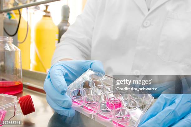 cell culture - genomics stock pictures, royalty-free photos & images