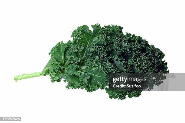 a bunch of green kale on a white background - kale bunch stock pictures, royalty-free photos & images