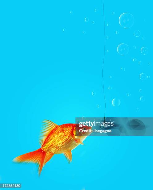 danger - fishing tackle stock pictures, royalty-free photos & images