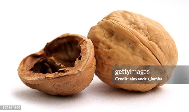 walnut shell - walnuts stockfoto's en -beelden