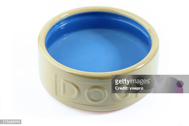perro de agua - dog bowl fotografías e imágenes de stock