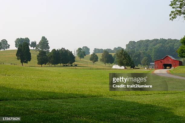 countryside - tennessee stock pictures, royalty-free photos & images