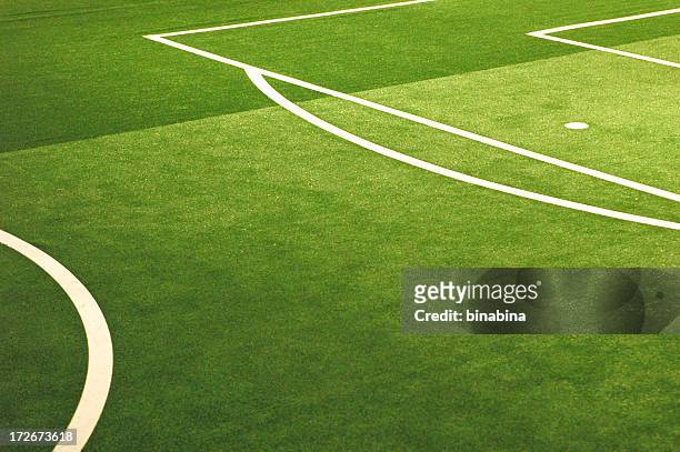 soccer field's lines - yard grounds stock pictures, royalty-free photos & images