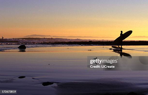 surfer at sunset in santa barbara, california - santa barbara county stockfoto's en -beelden