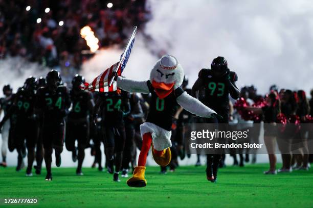 Miami Hurricanes mascot leads the team on the field prior to a game against the Georgia Tech Yellow Jackets at Hard Rock Stadium on October 7, 2023...