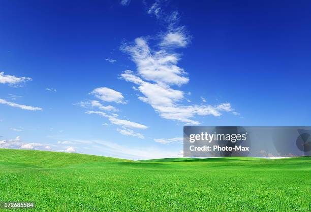 a panoramic photo of rolling green grass and a blue sky  - max knoll stock pictures, royalty-free photos & images