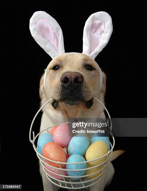 Easter Retriever