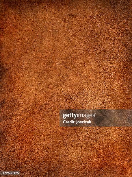 reddish brown suede - cowhide stock pictures, royalty-free photos & images