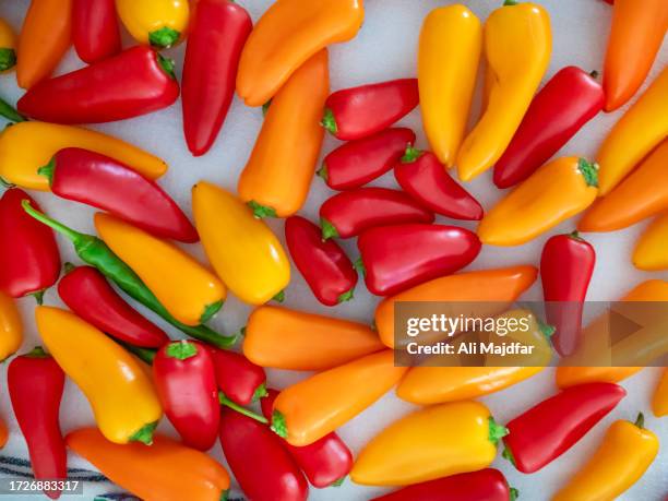 santa fe grande hot pepper - peppercorn sauce stock pictures, royalty-free photos & images