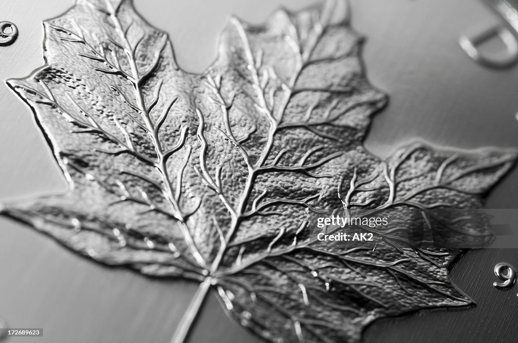 Canadian Silber
