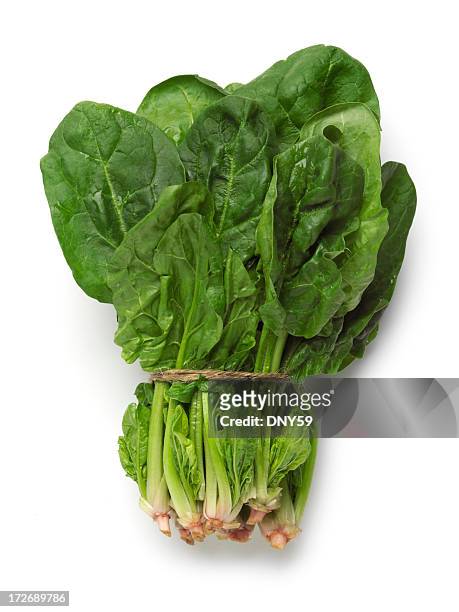 spinach bunch isolated on white background - spinach 個照片及圖片檔