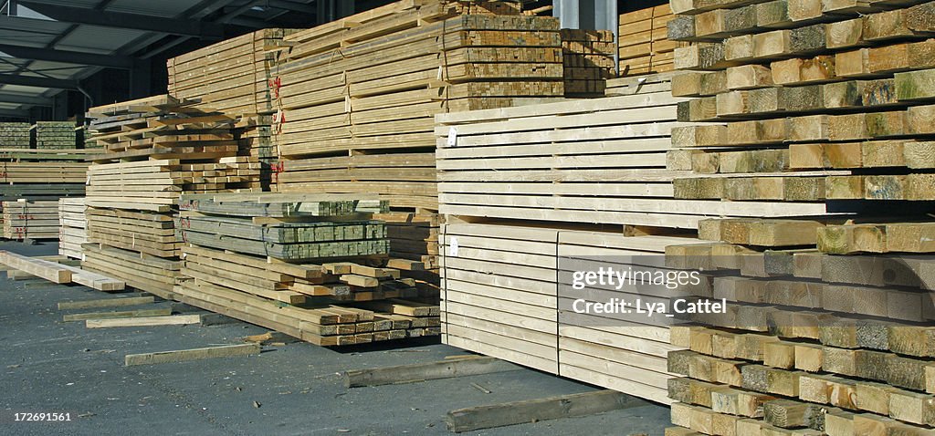 Pile of wood # 10