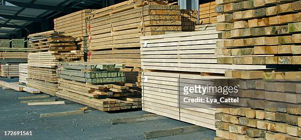 pile of wood # 10 - wood material 個照片及圖片檔