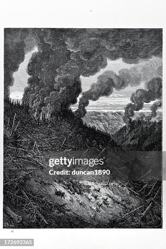 Forest fire Forest fire