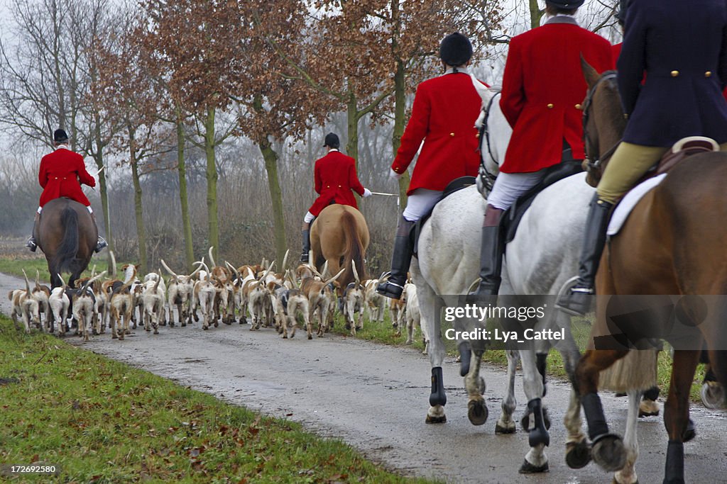 Caça à raposa # 1