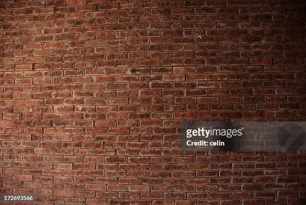 brick wall - brick wall stock pictures, royalty-free photos & images